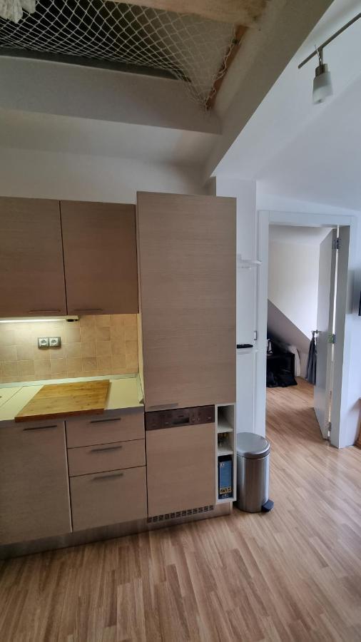 Apartman Rokytnice, Rokytno 20 ロキトニツェ・ナト・イゼロウ エクステリア 写真