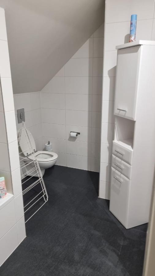 Apartman Rokytnice, Rokytno 20 ロキトニツェ・ナト・イゼロウ エクステリア 写真