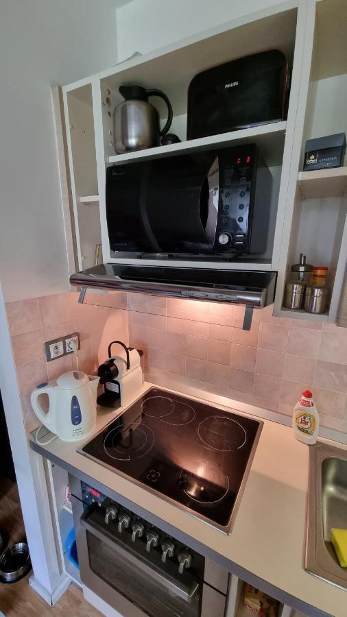 Apartman Rokytnice, Rokytno 20 ロキトニツェ・ナト・イゼロウ エクステリア 写真