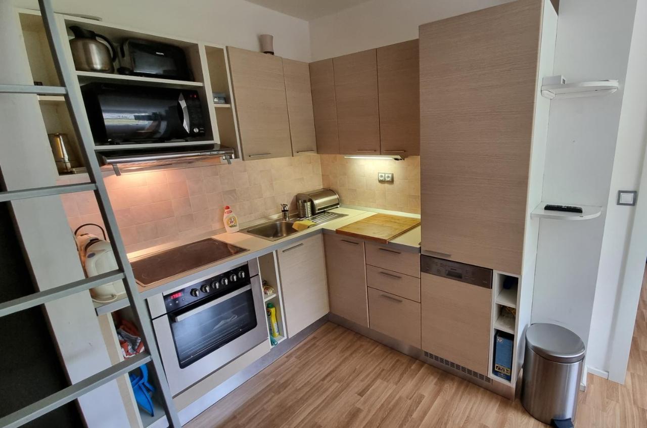 Apartman Rokytnice, Rokytno 20 ロキトニツェ・ナト・イゼロウ エクステリア 写真